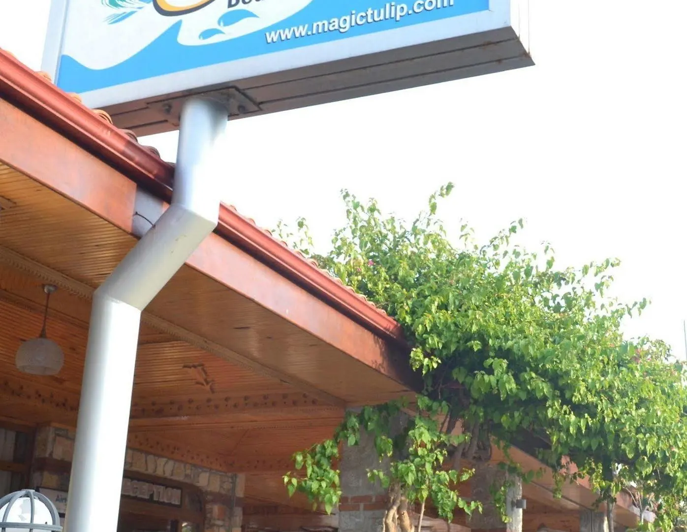 魔力郁金香海滩酒店 厄吕代尼兹 酒店