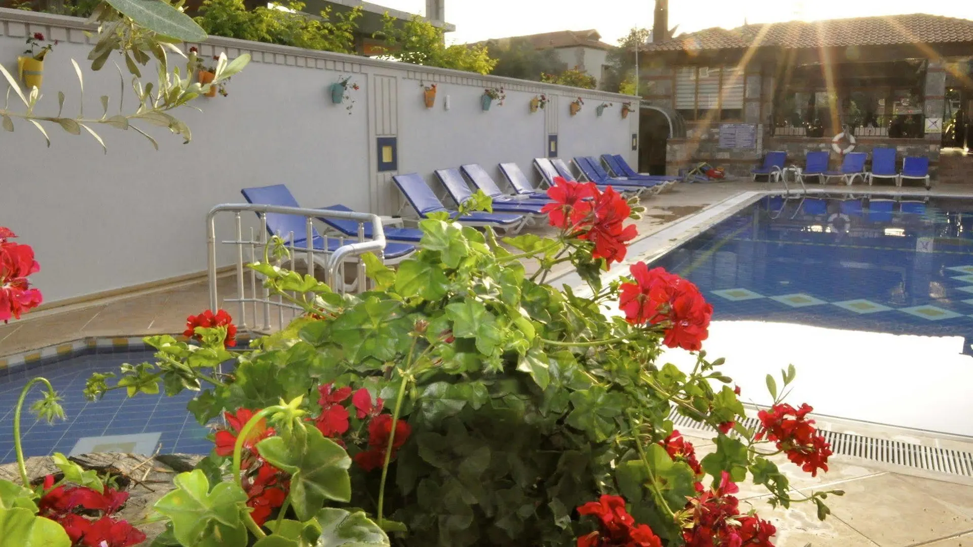 אולודניץ Magic Tulip Beach Hotel 3*,